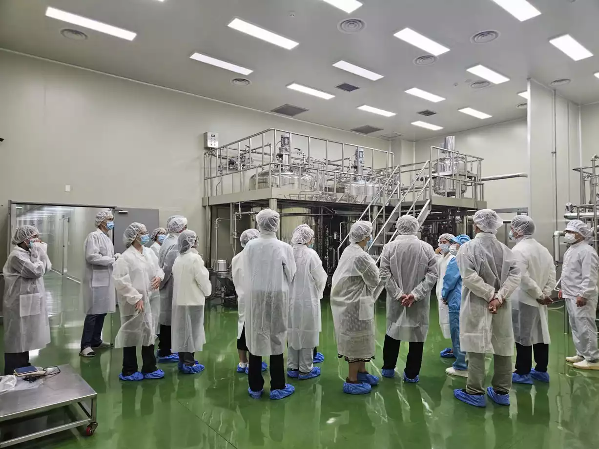 DR.UH Foundation Overview