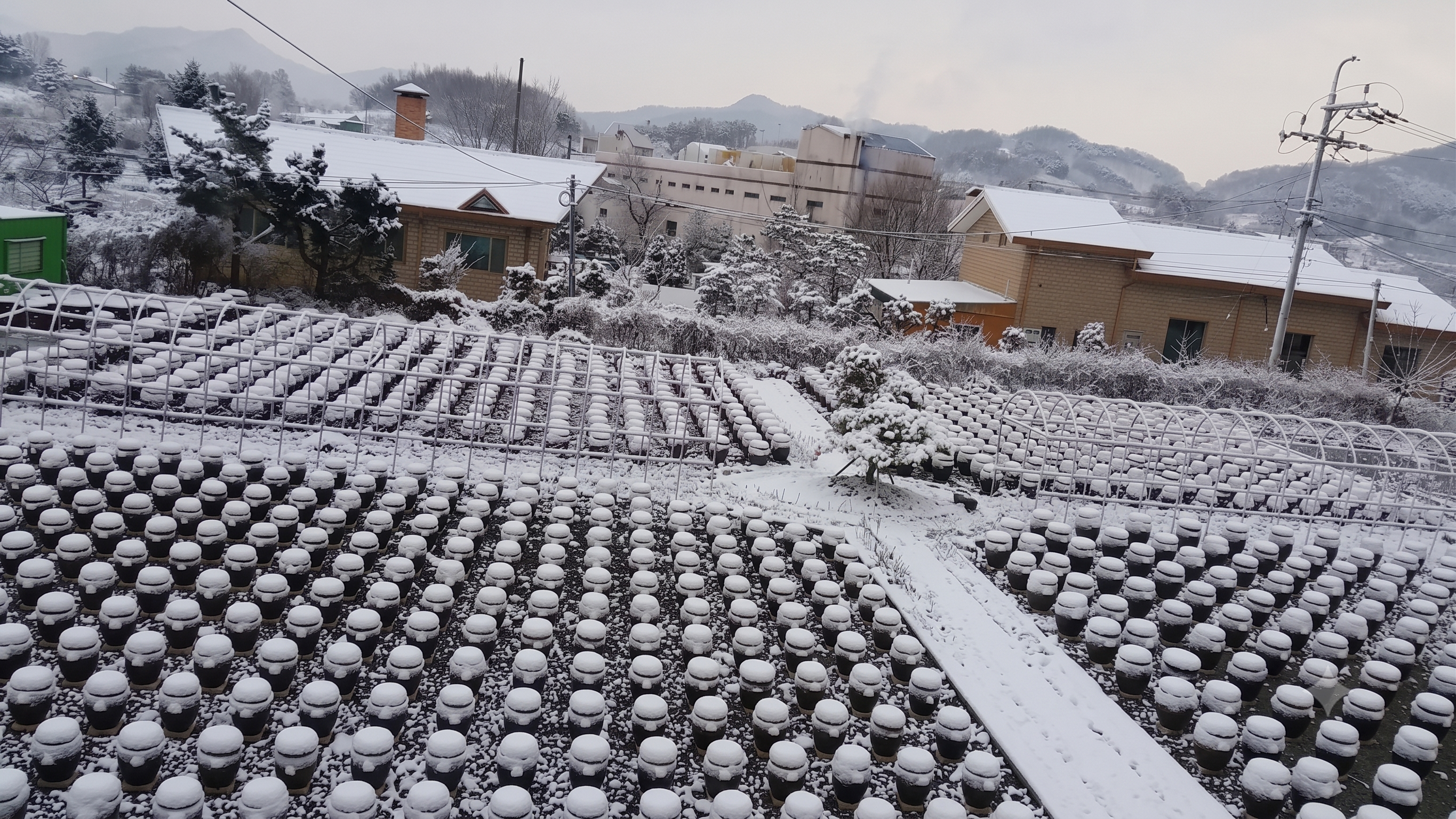 Traditional Fermentation Yard