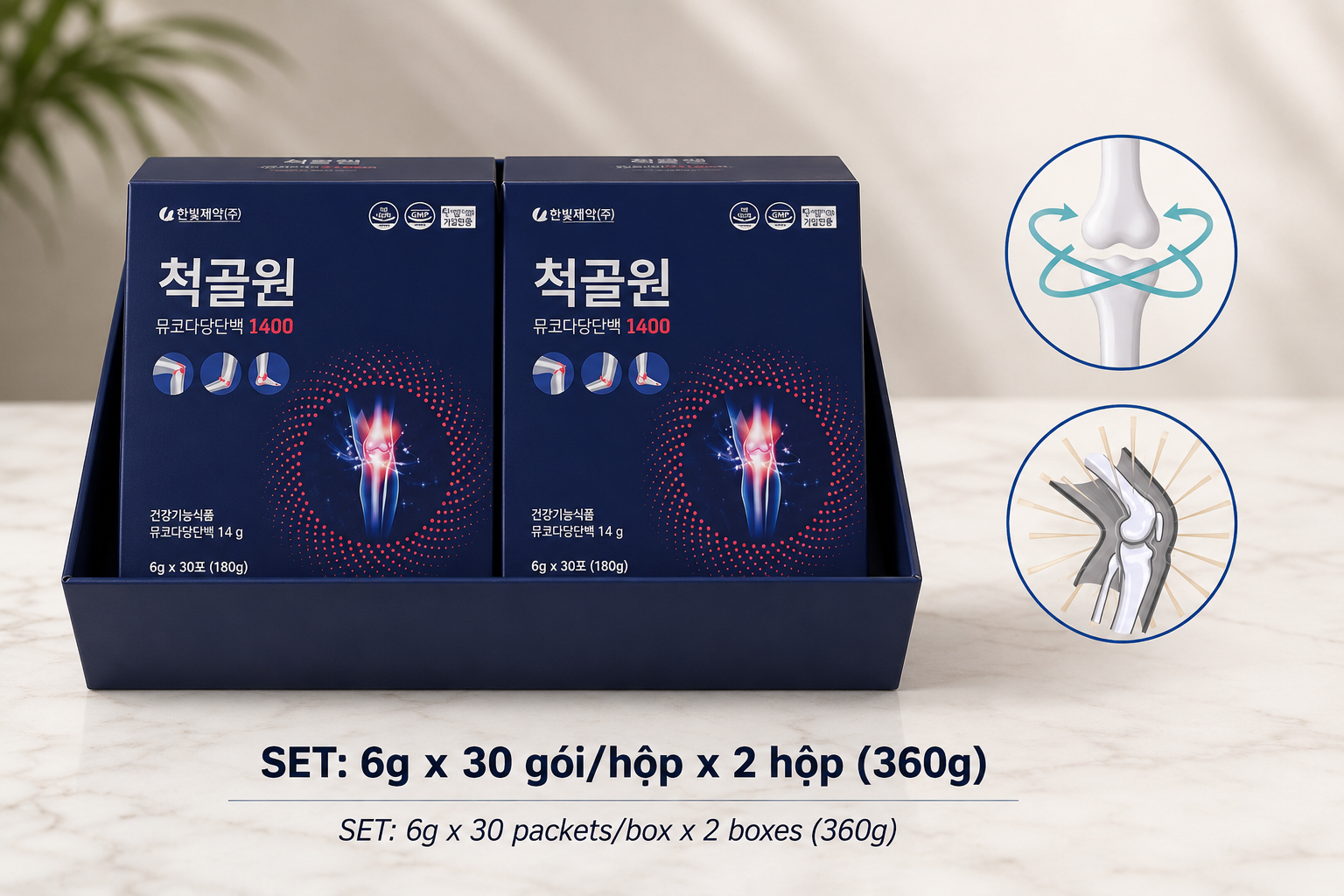 척골원